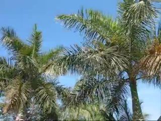 Tropical venkovní výstřik