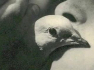我的 第一 愛